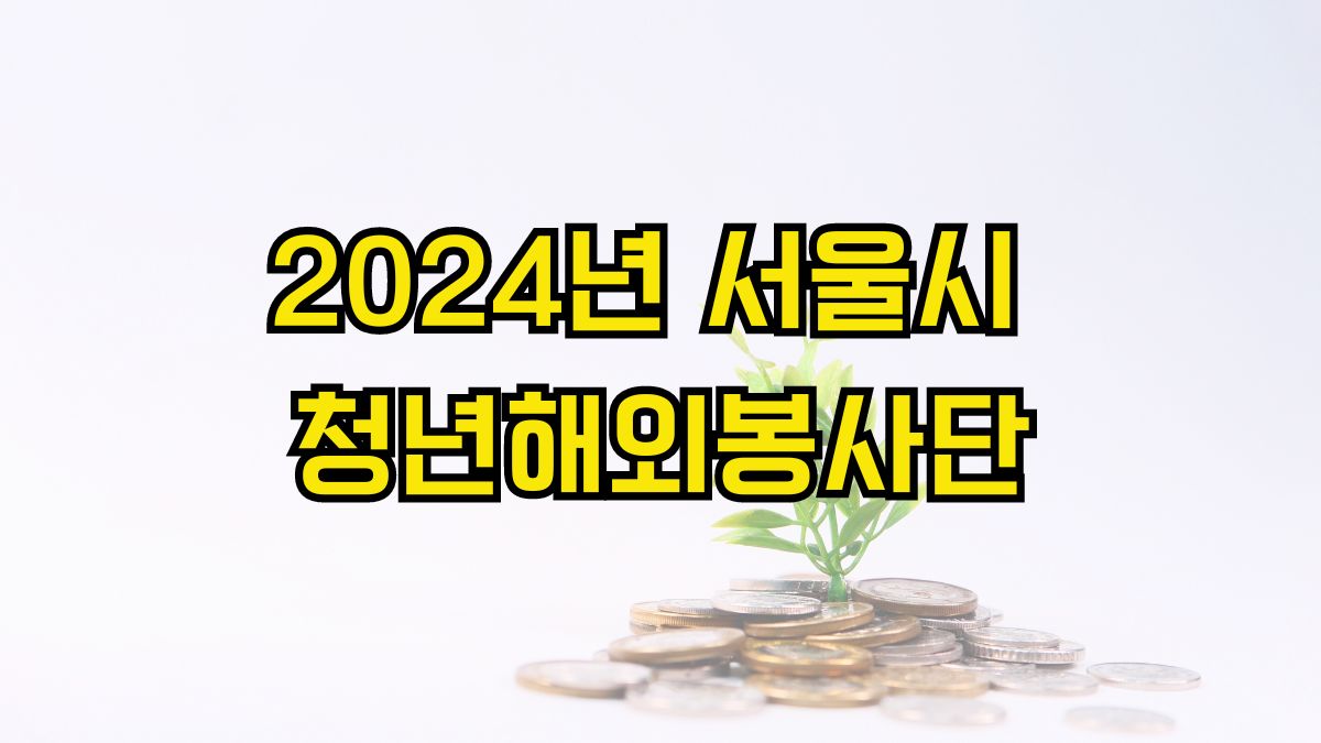 2024년 서울시 청년해외봉사단