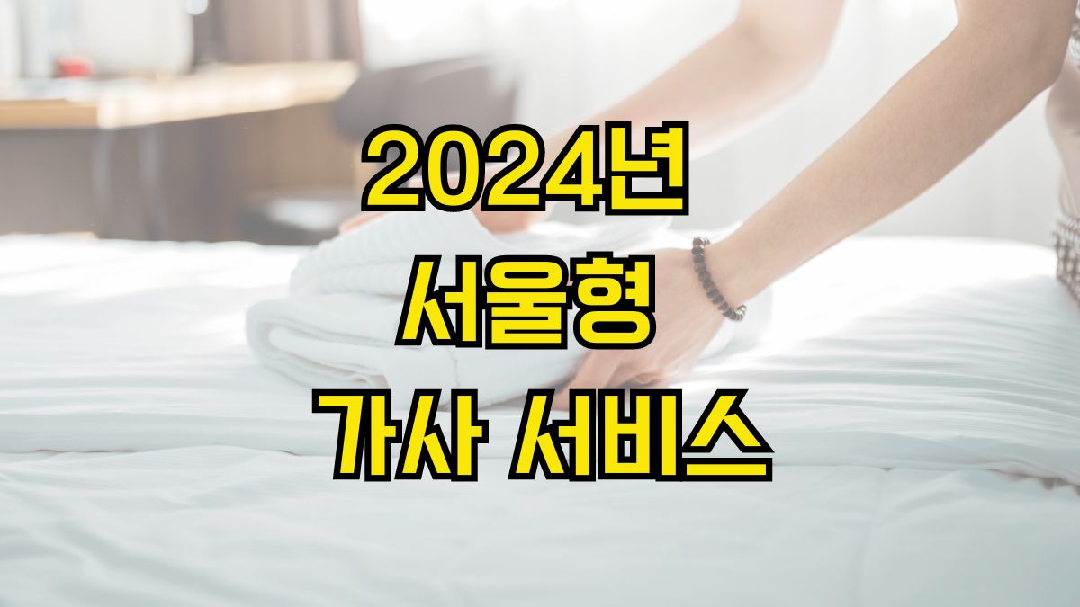 2024년 서울형 가사 서비스