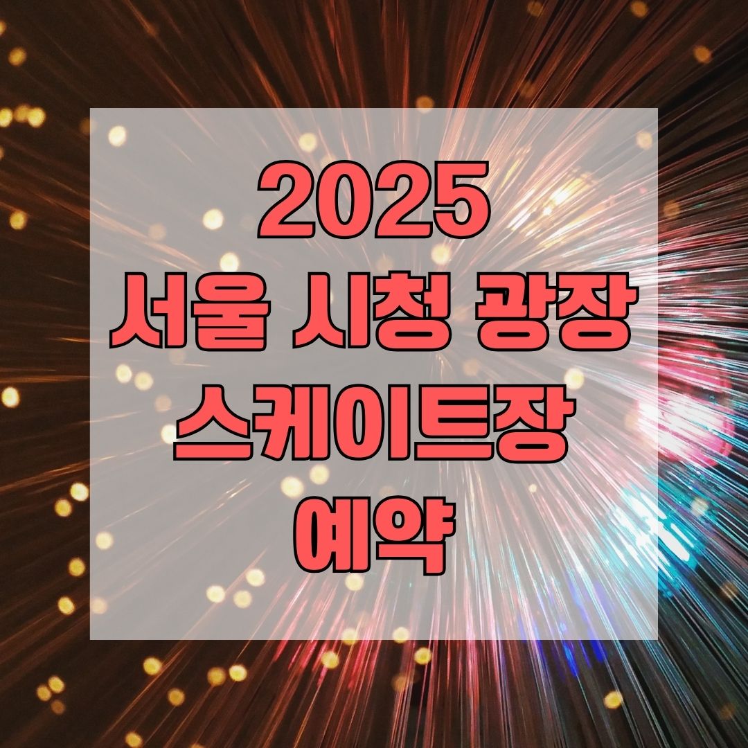 2025 서울 시청 광장 스케이트장 예약