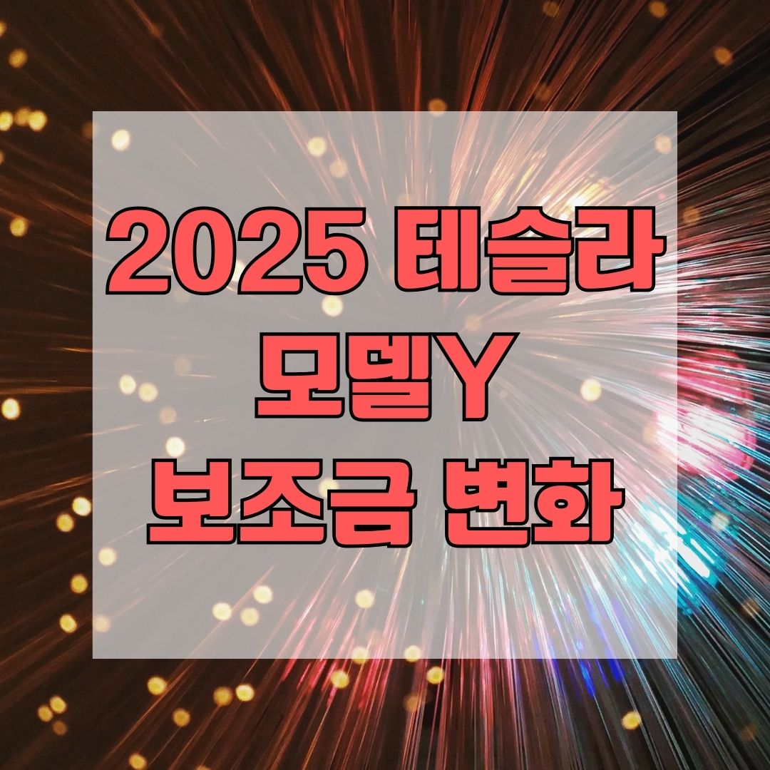 2025 테슬라 모델Y 보조금 변화