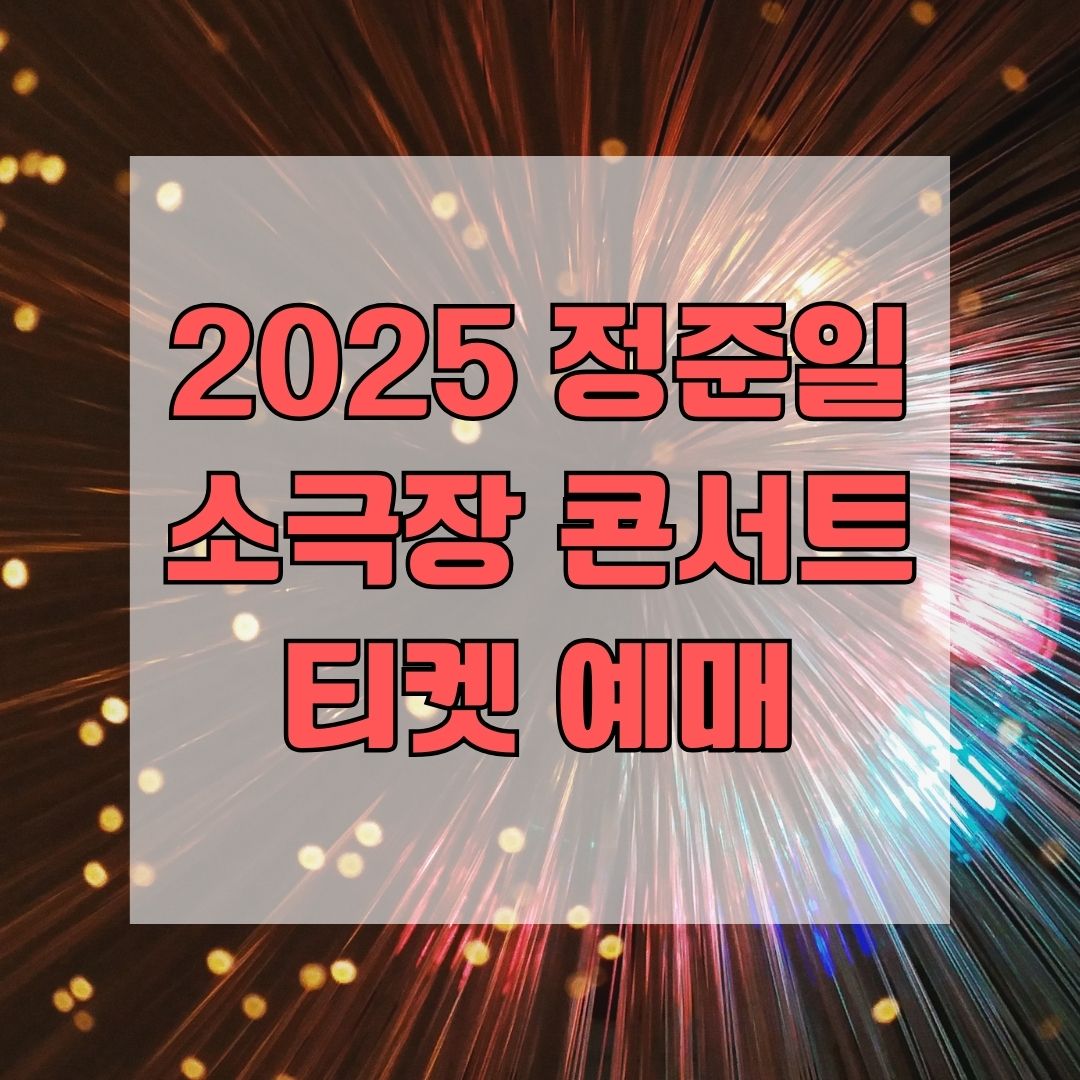 2025 정준일 소극장 콘서트 티켓 예매