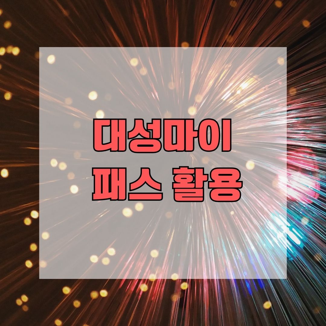 대성마이맥 패스 활용