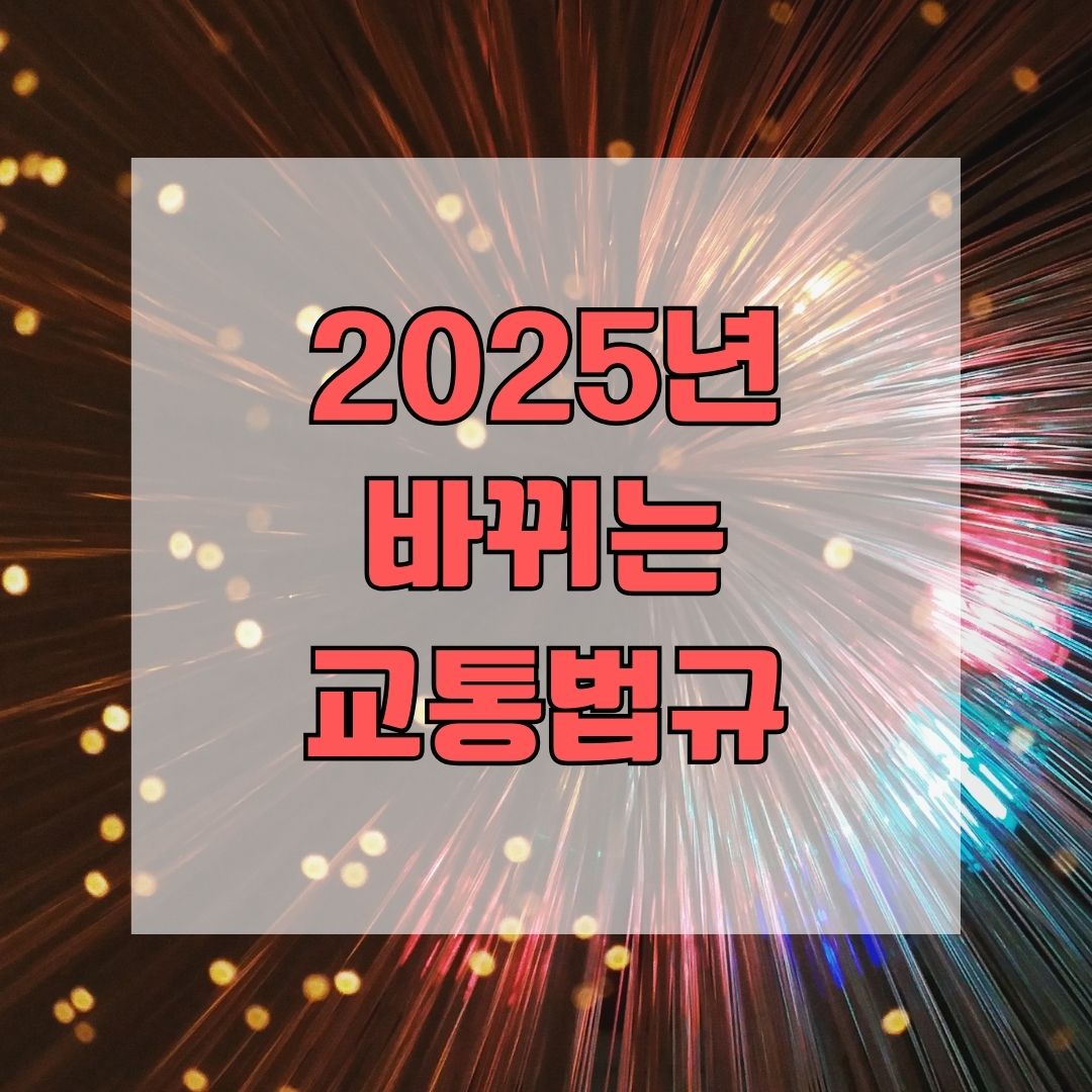 2025년 바뀌는 교통법규