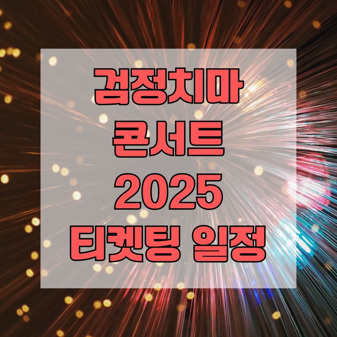 검정치마 콘서트 2025 티켓팅 일정