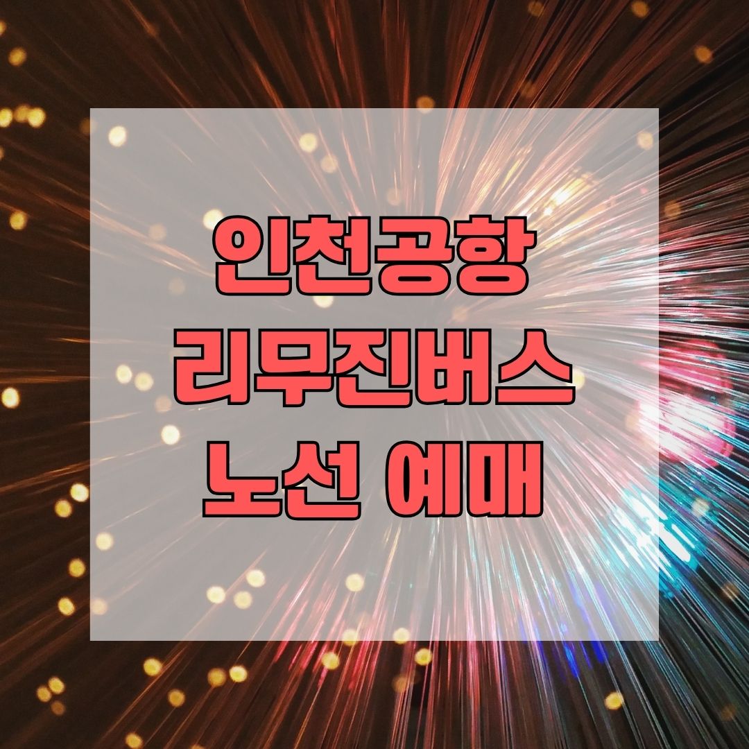 인천공항 리무진버스 노선 예매
