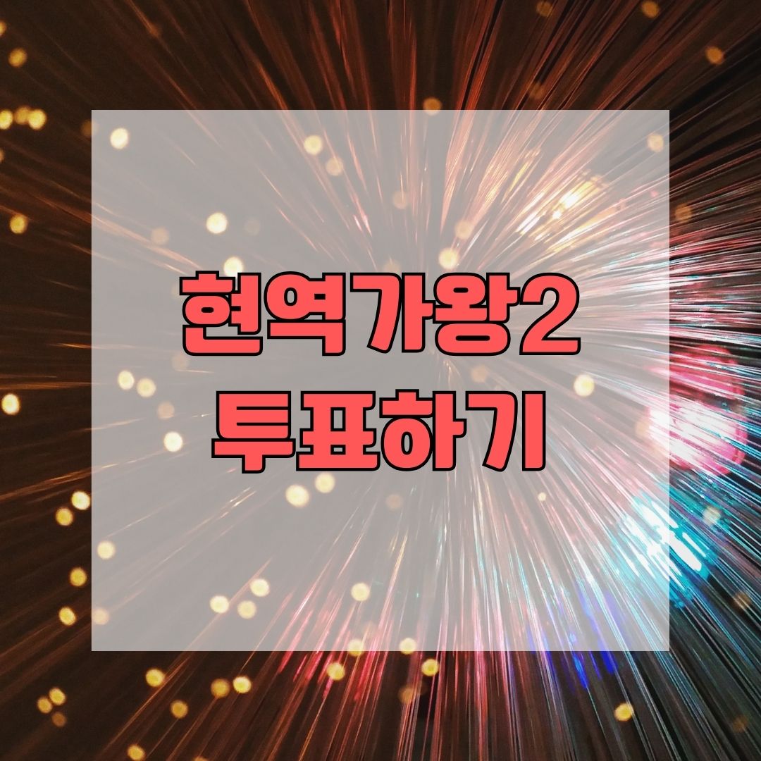 현역가왕2 투표하기