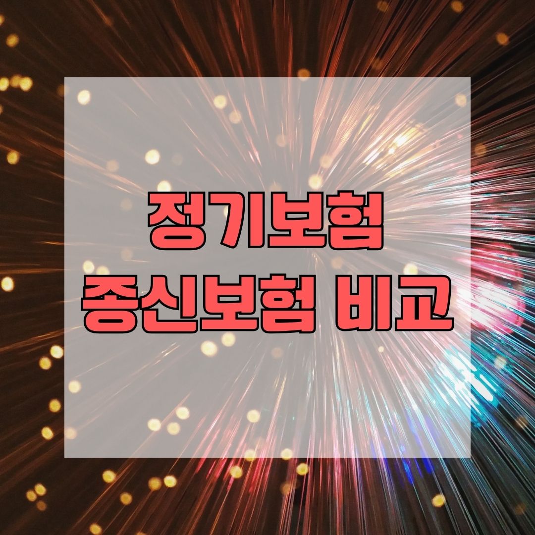 정기보험 종신보험 비교