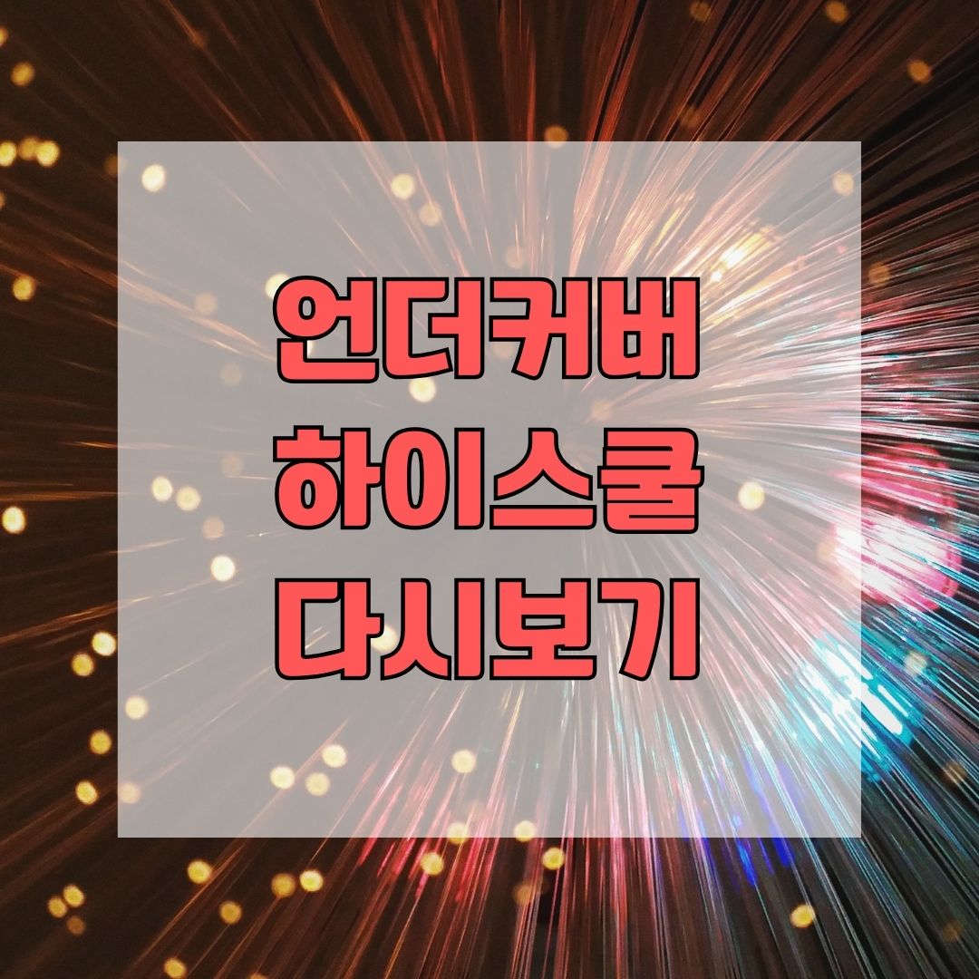 언더커버 하이스쿨 다시보기
