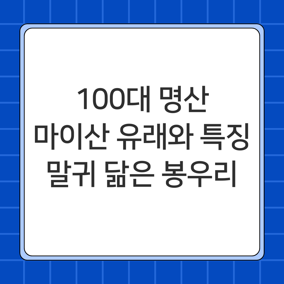 100대 명산-마이산