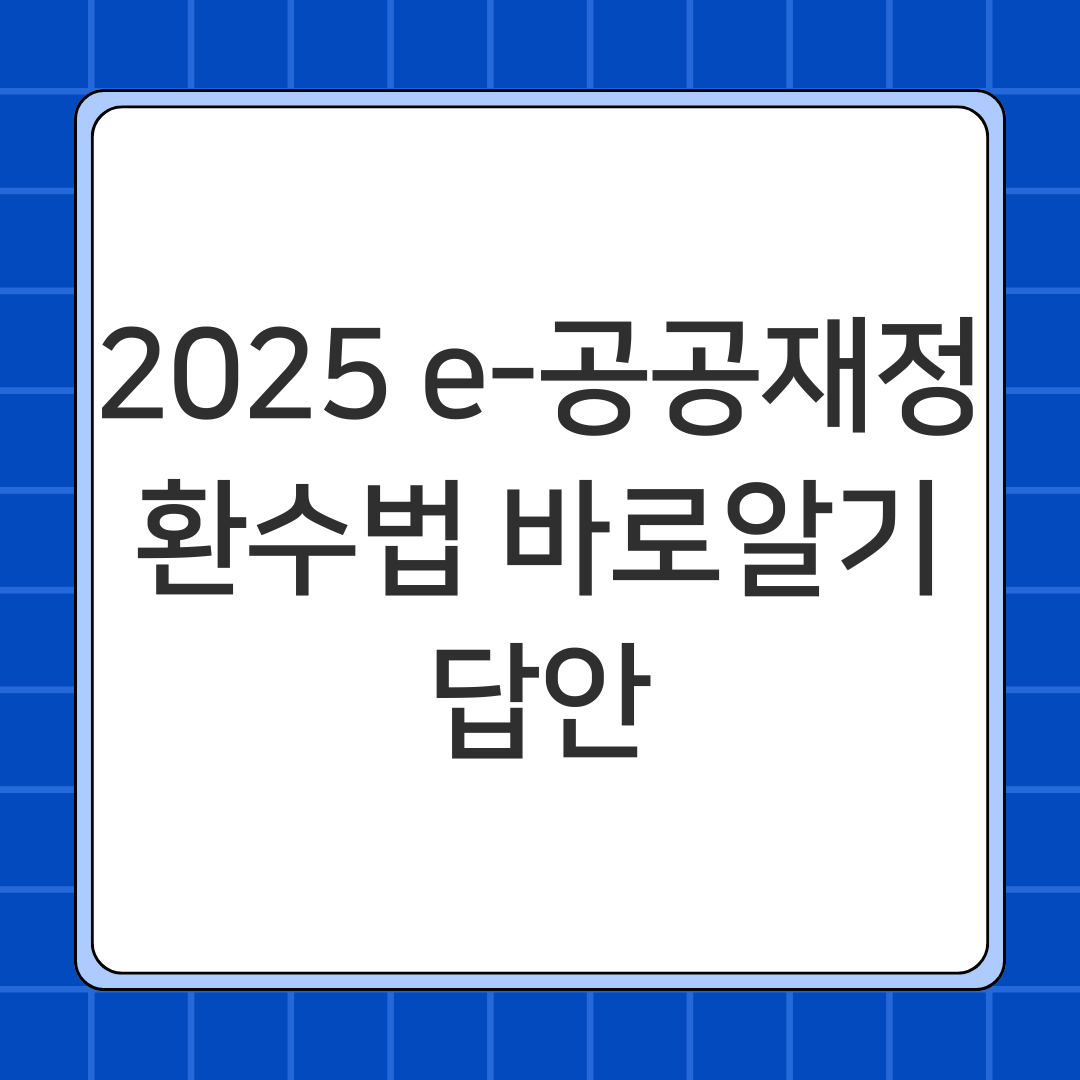 2025 e-공공재정환수법 바로알기 답안