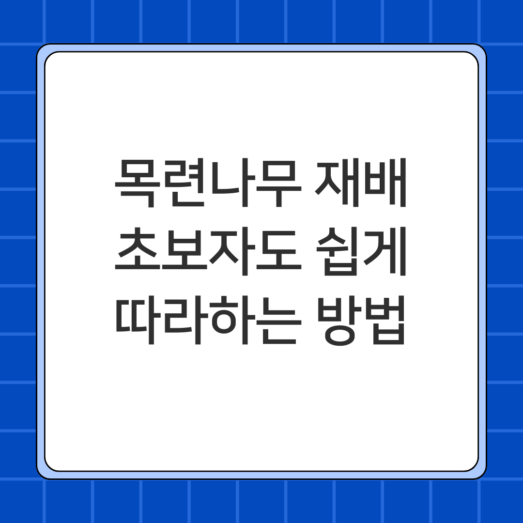 목련나무 재배