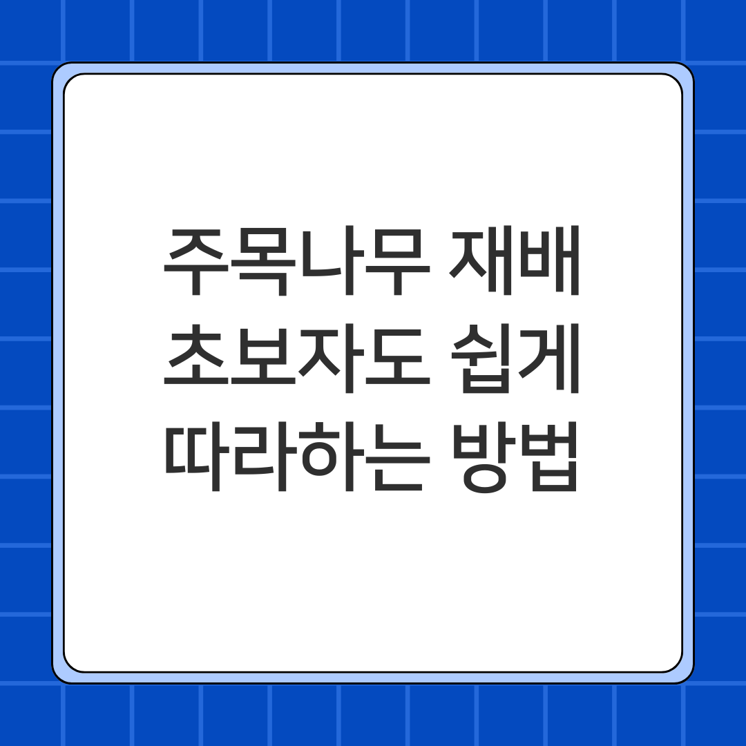 주목나무 재배의 모든 것