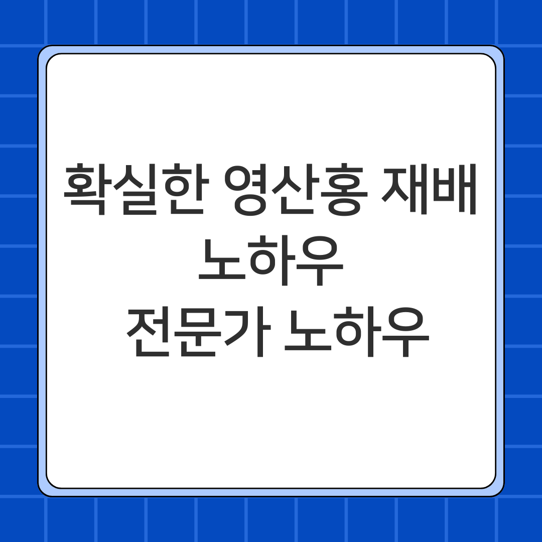 확실한 영산홍 재배 노하우