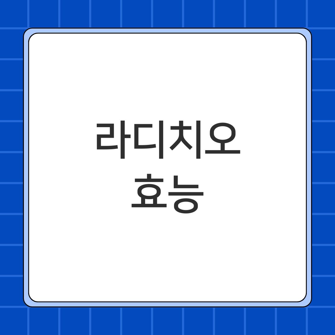 라디치오 효능