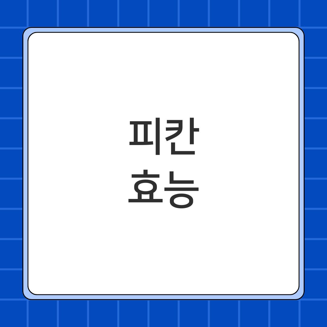 피칸 효능