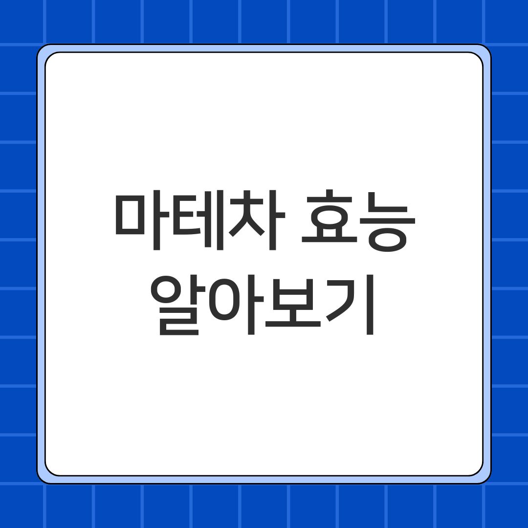 마테차 효능 알아보기