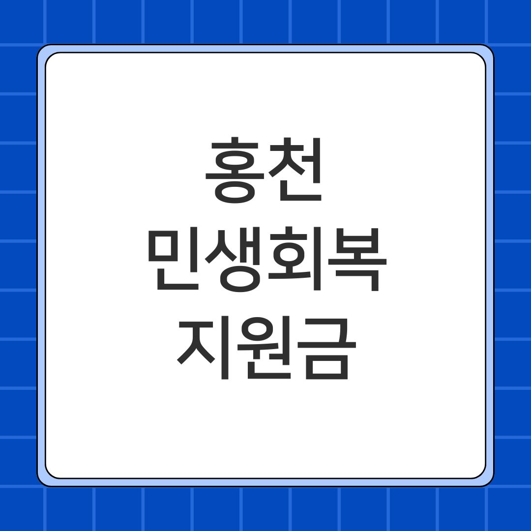 홍천 민생회복지원금