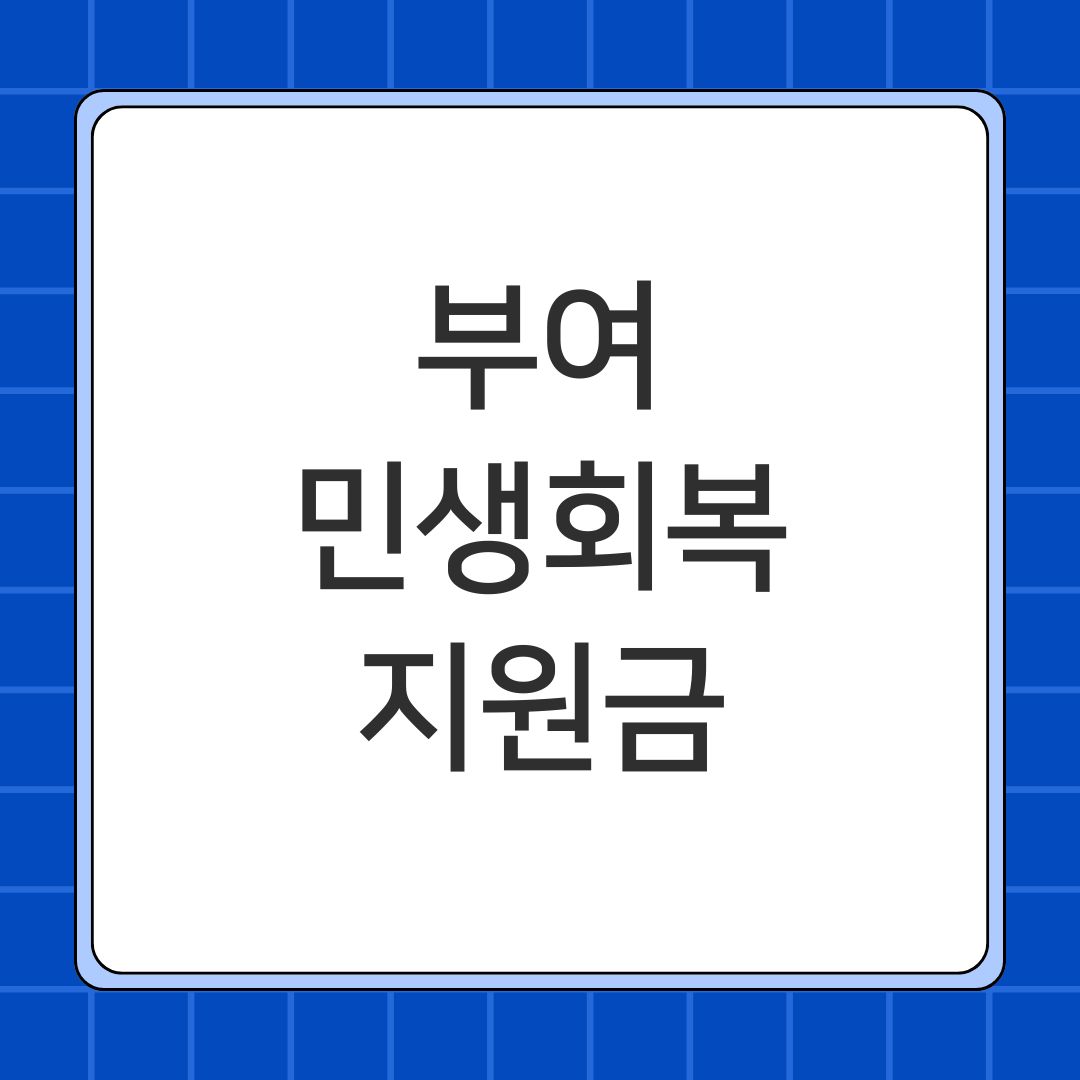 부여 민생회복지원금
