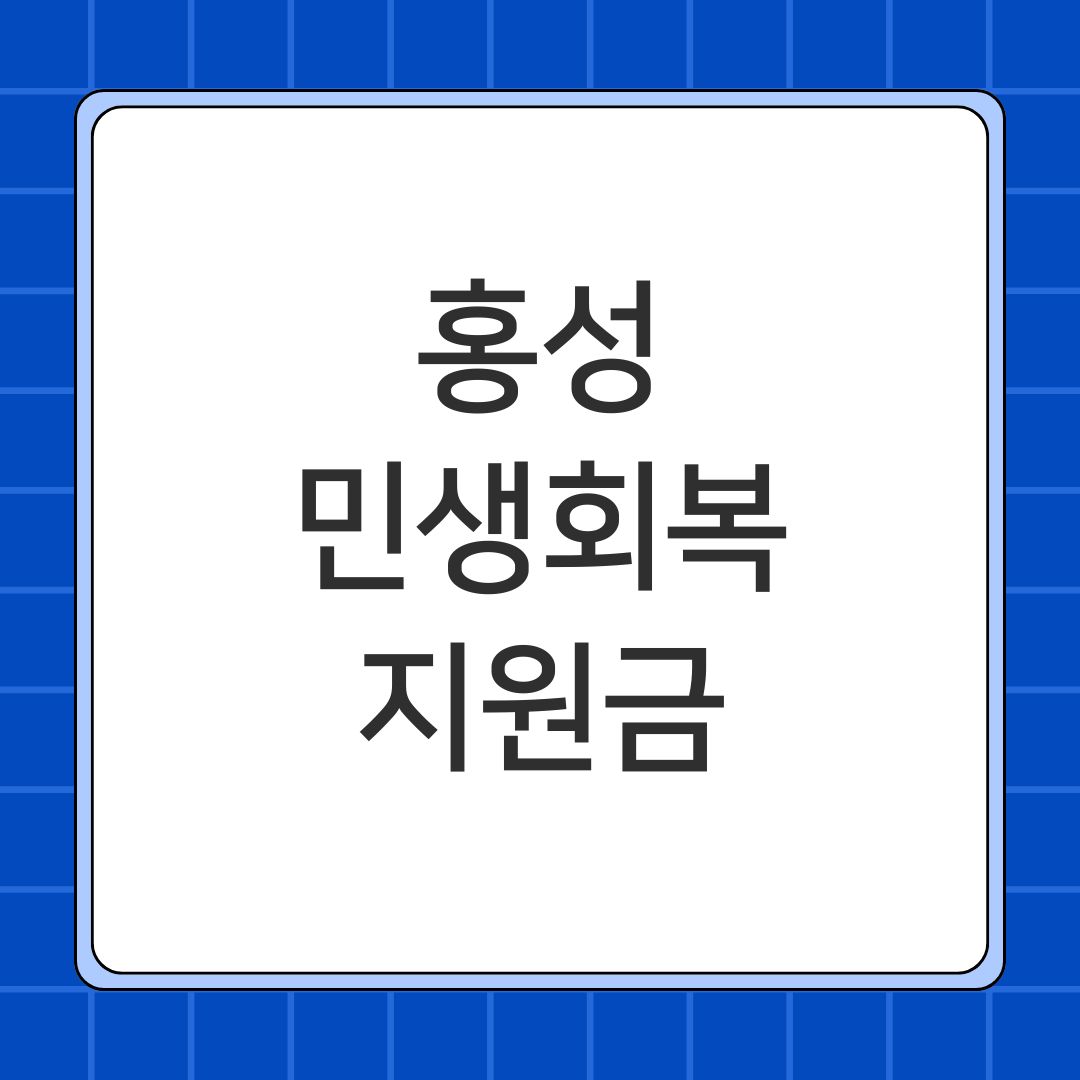 홍성 민생회복지원금