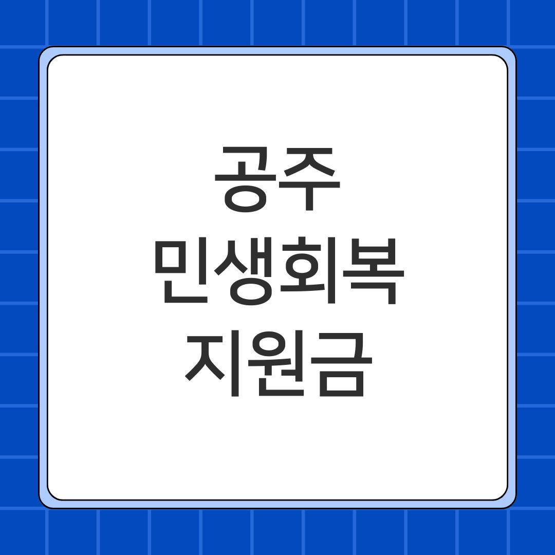 공주 민생회복지원금