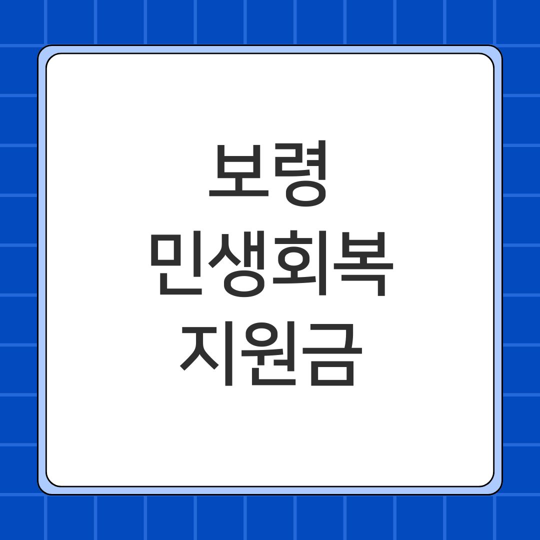 보령 민생회복지원금