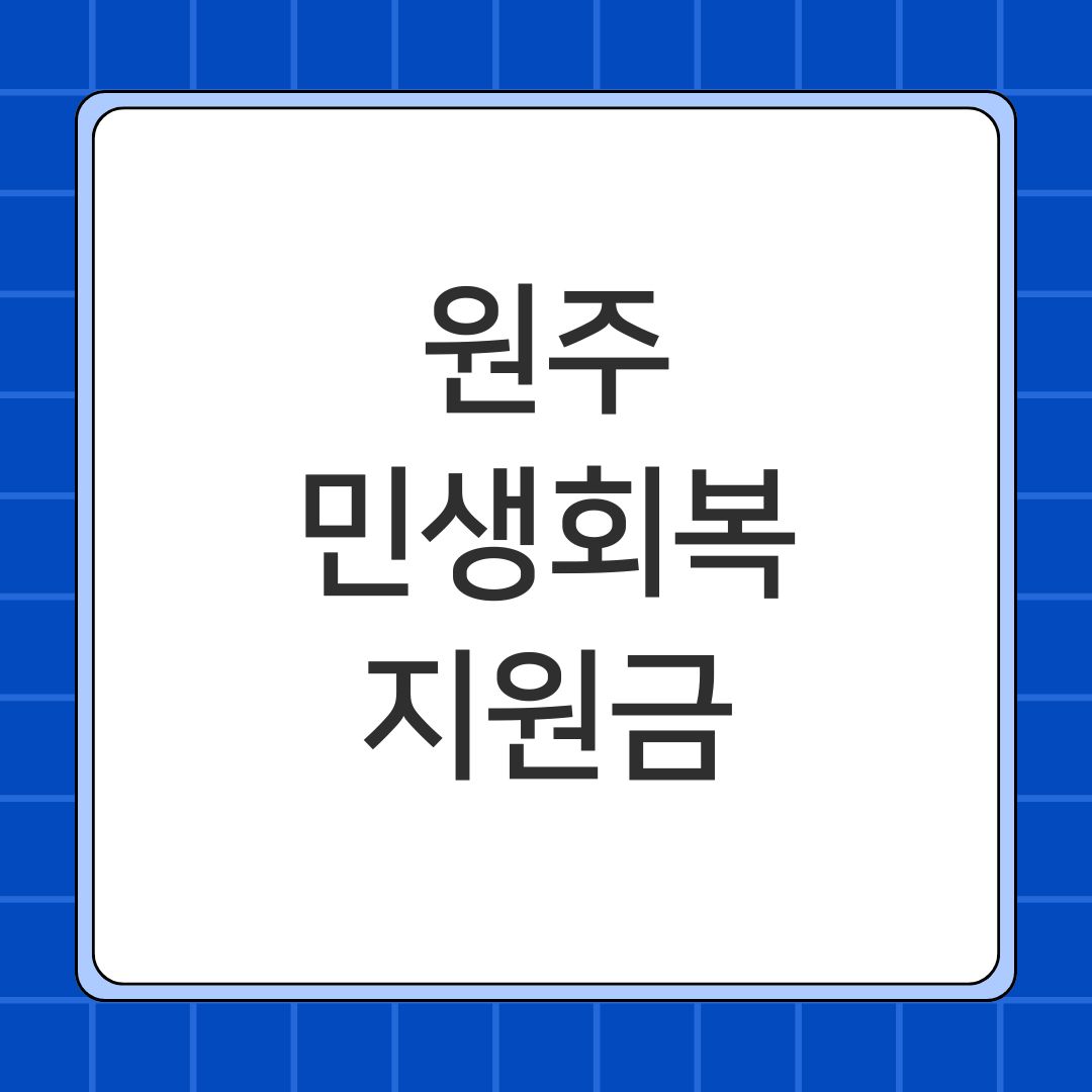 원주 민생회복지원금
