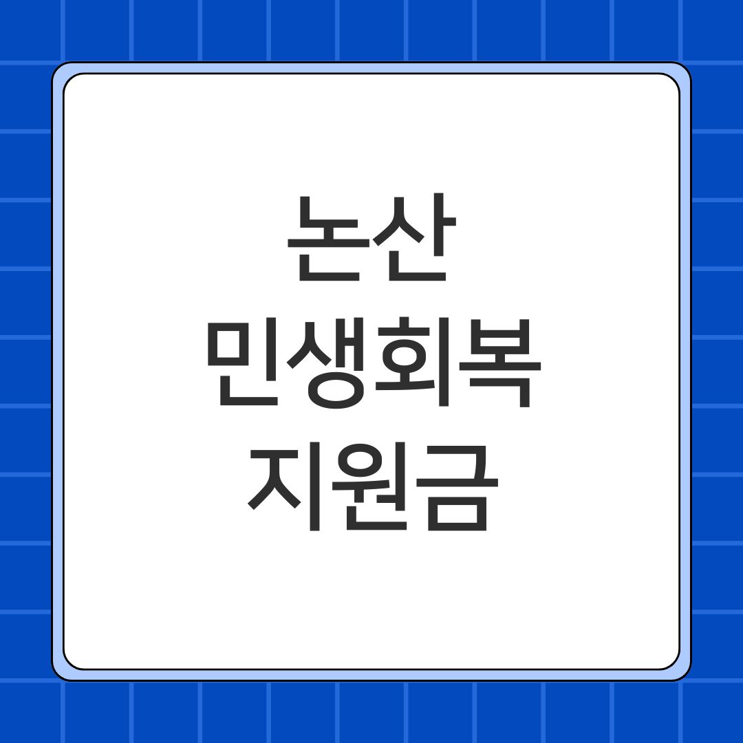 논산 민생회복지원금