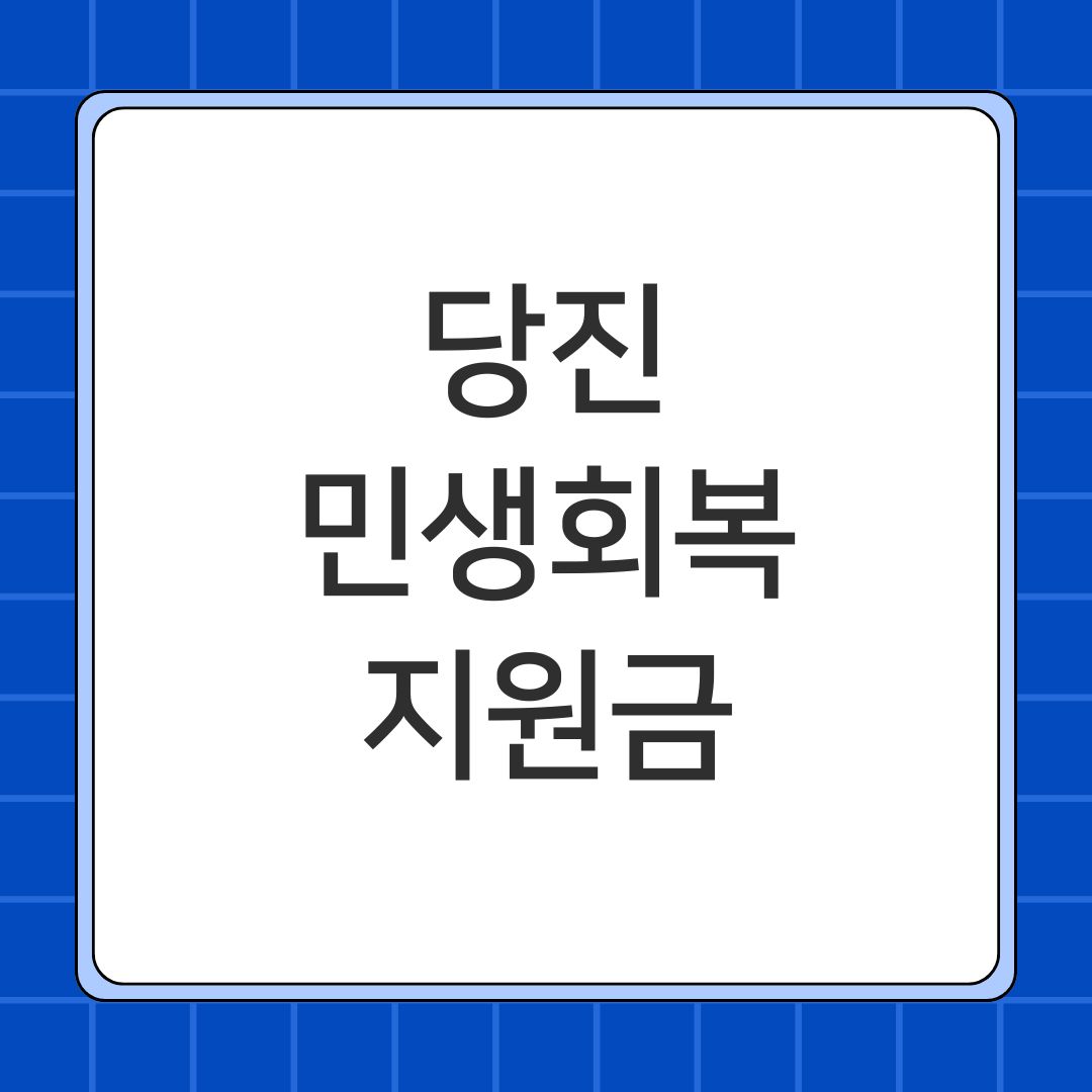 당진 민생회복지원금