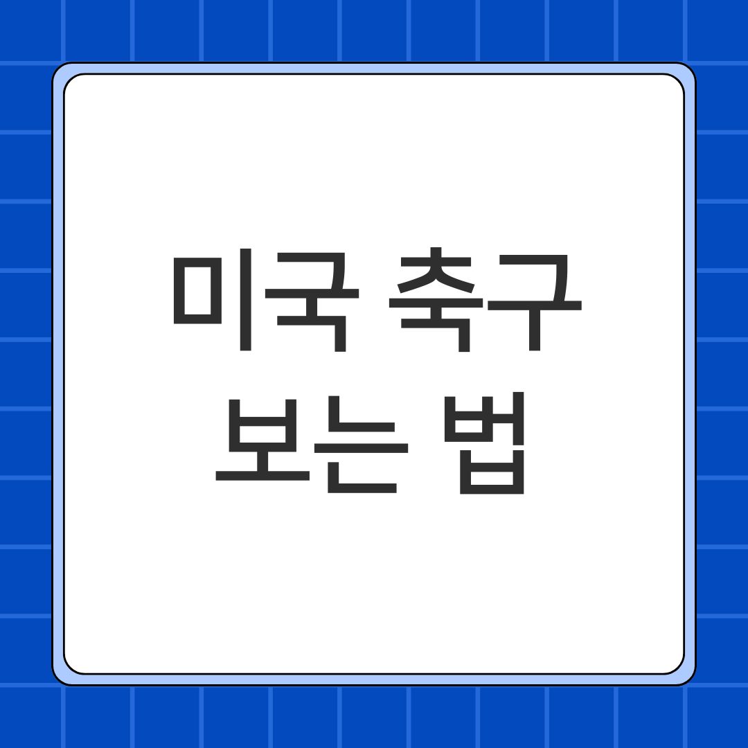 미국 축구 보는 법