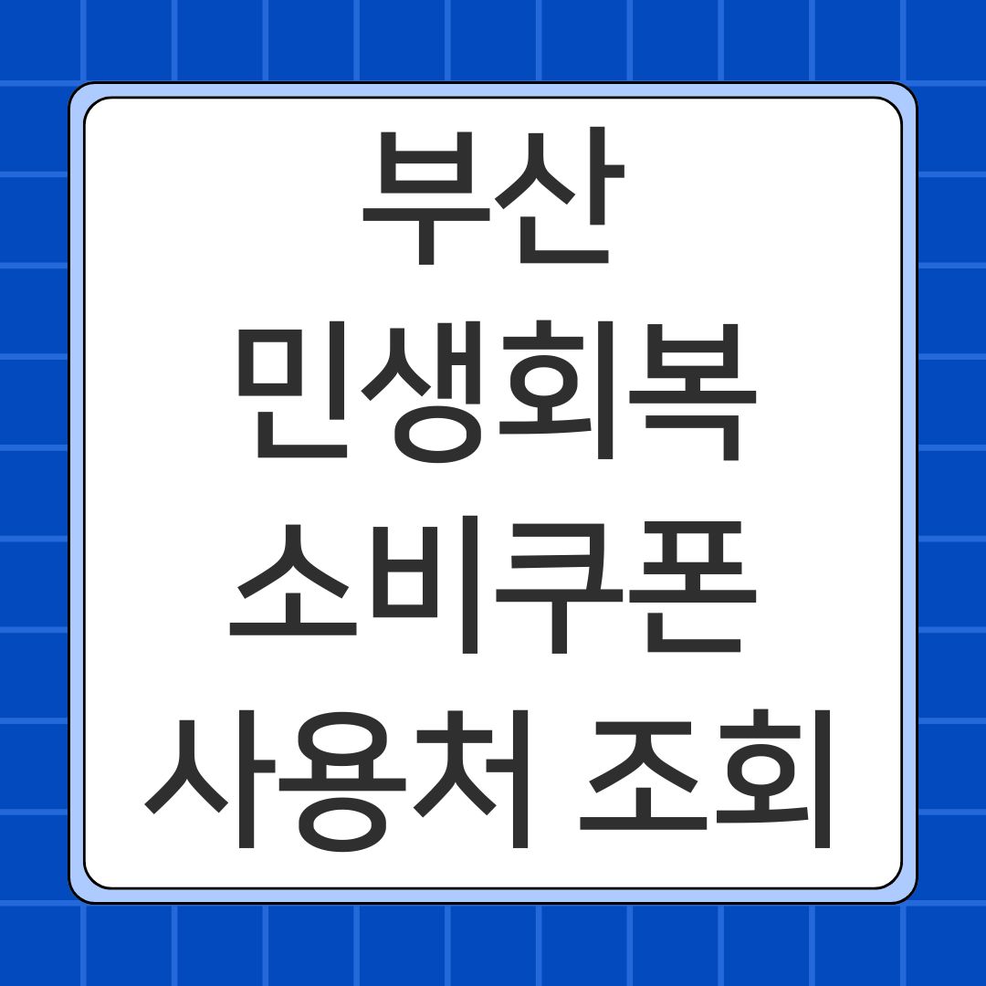 부산 민생회복 소비쿠폰 사용처 조회