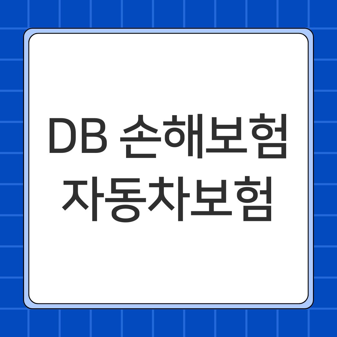 DB 손해보험 자동차보험
