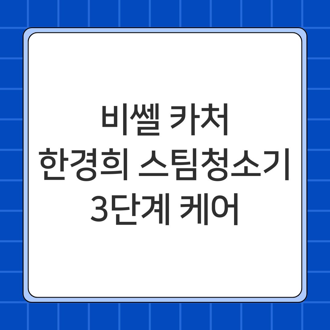 비쎌 카처 한경희 스팀청소기 3단계 케어